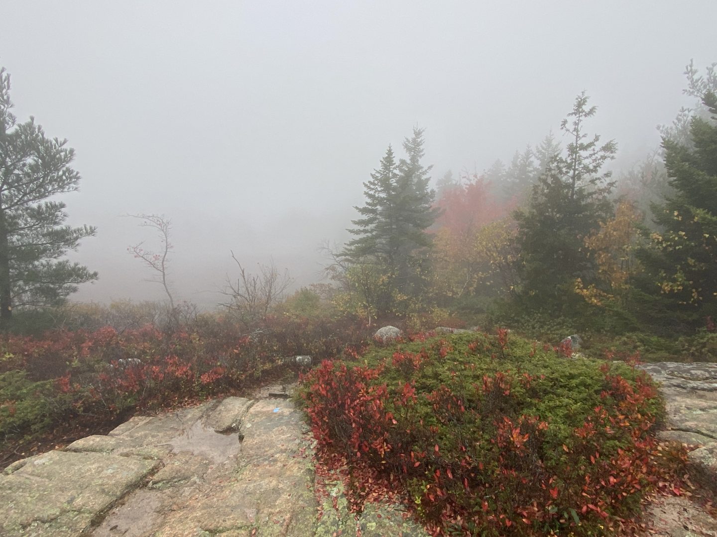 Hiking Cadillac Mountain - South Ridge Trail