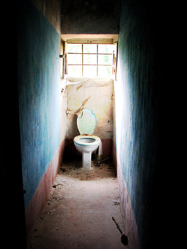 Toilets and the Childhood Fear of the Flush